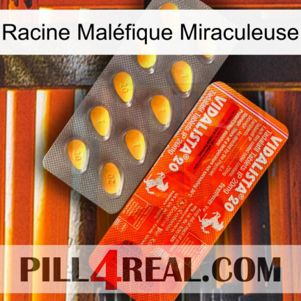 Racine Maléfique Miraculeuse new01